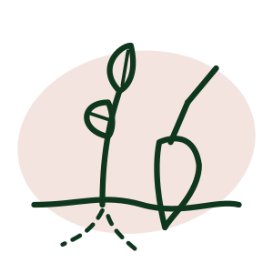beplantingsaanleg