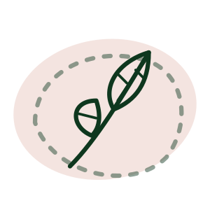 beplantingsplan